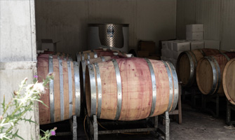 Awaroa Organic Winery