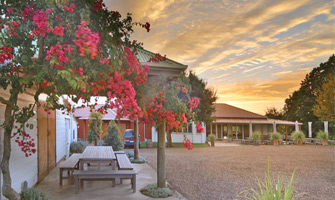 Goldie Estate Vineyard