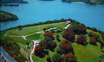 Kennedy Point Organic Vineyard