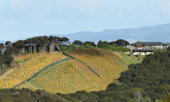 Woodside Hill Winery